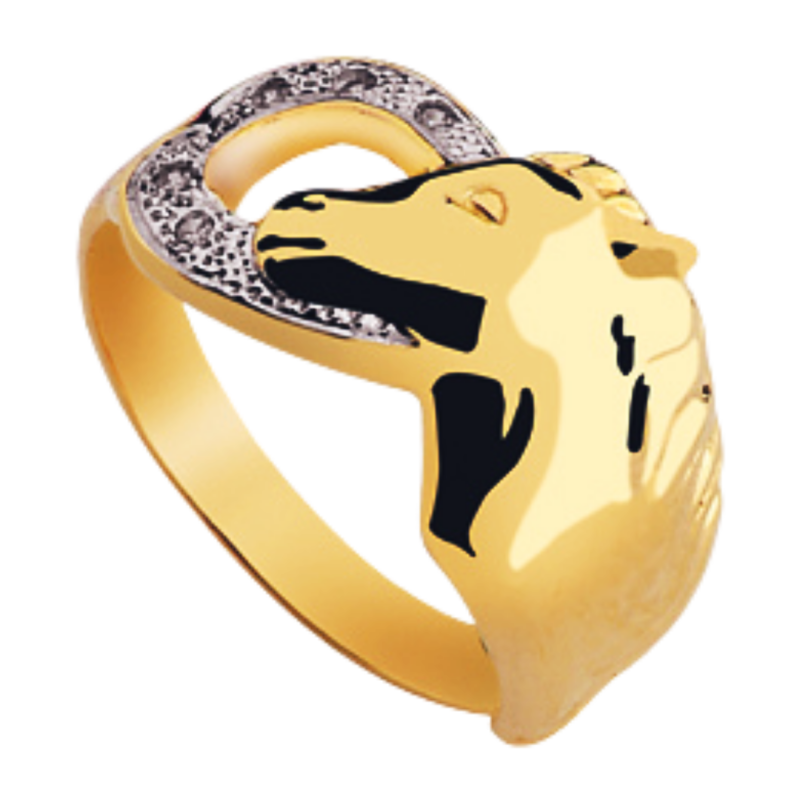 Anillo 31102