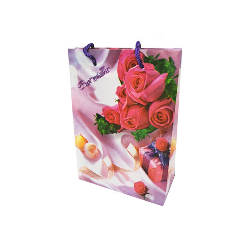 Bolsas de Regalo