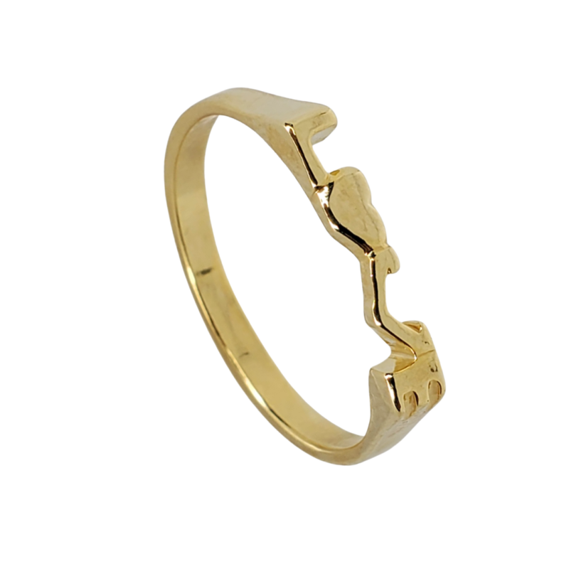 Anillo FL30058