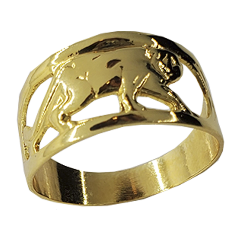 ANILLO FL30071