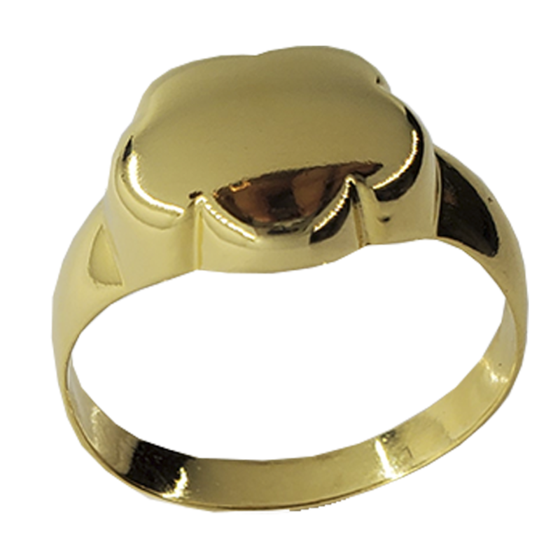 ANILLO FL30093
