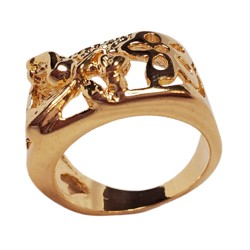 Anillo FL30097