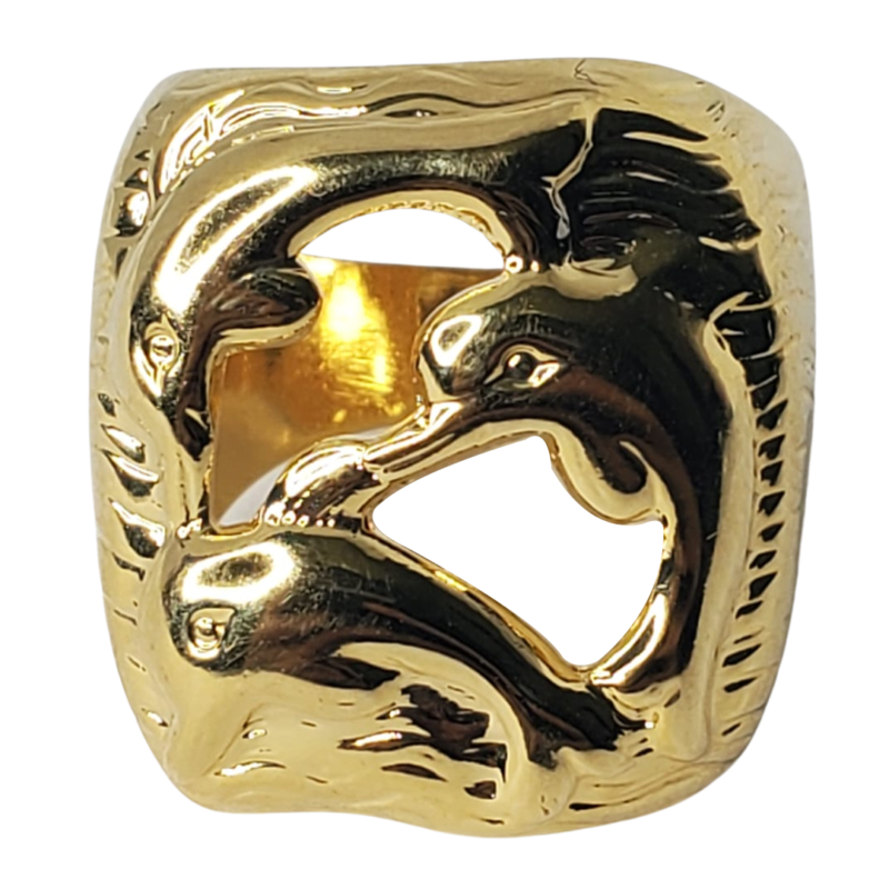 Anillo FL30060