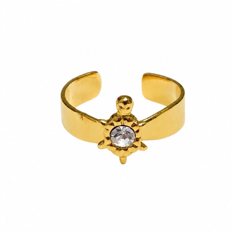 Anillo 34094