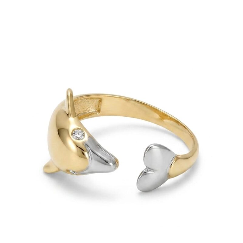 Anillo 31093